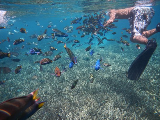Activities Coral Redang Island Resort